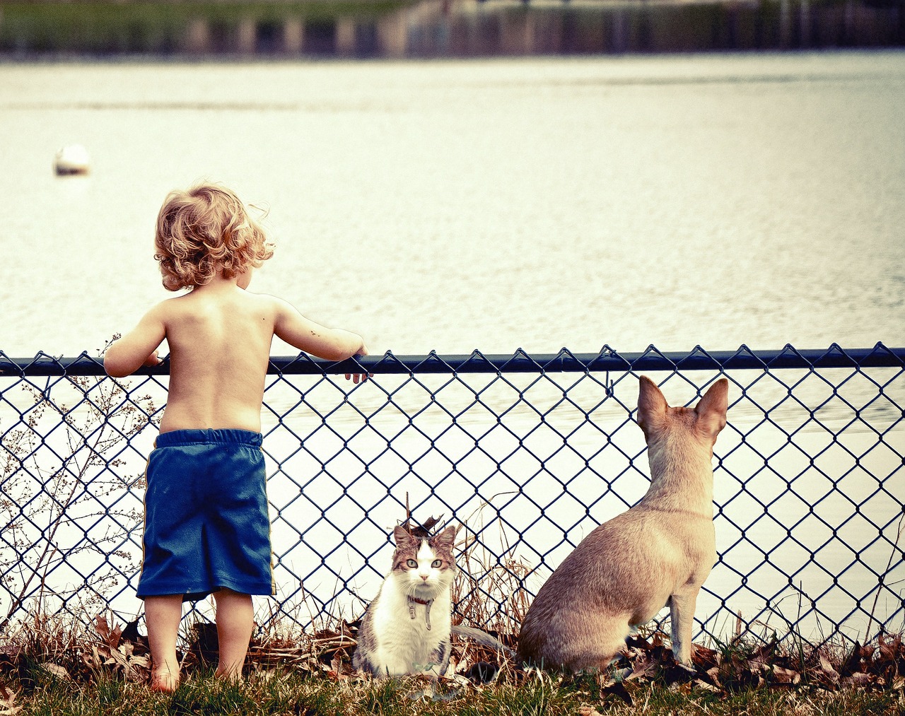 boy and his pets