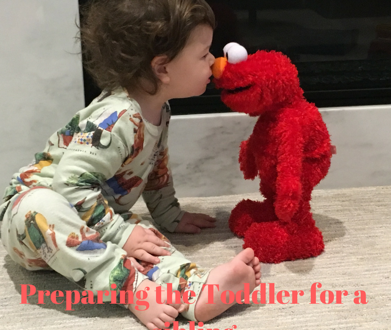 Preparing Your Toddler For a Sibling