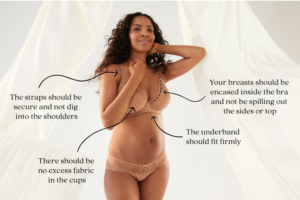 Image on how a bra should fit