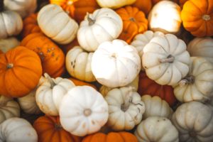 baby pumpkins