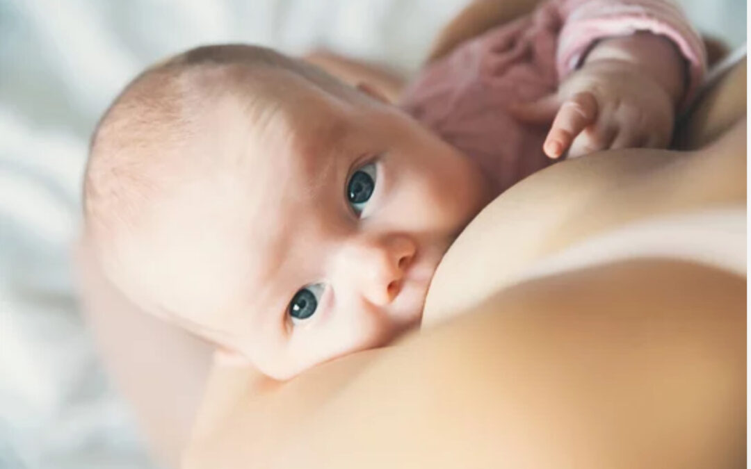 Birth and Postpartum Doulas from Birth You Desire